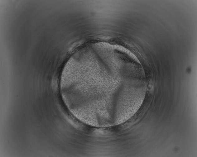X0000094180568200711241555