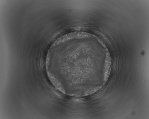 X0000094180569200711241555