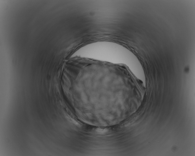 X0000094180570200711241556