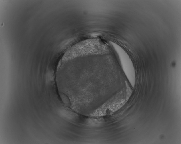 X0000094180571200711241556