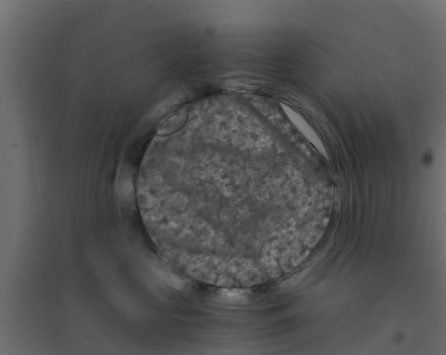 X0000094180573200711241556