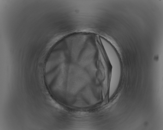 X0000094180577200711241555