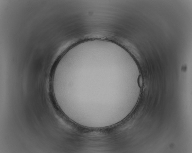 X0000094180578200711241555
