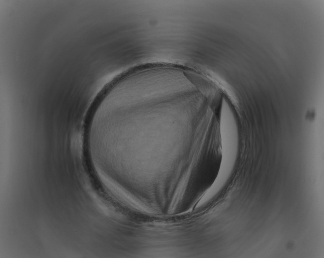 X0000094180580200711241555