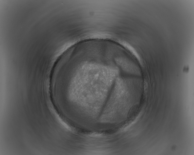 X0000094180581200711241555
