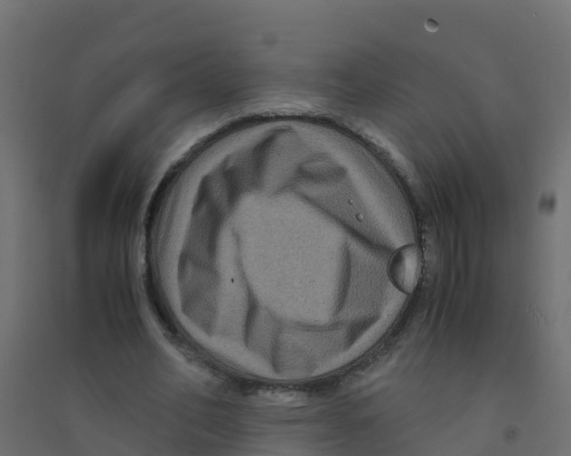 X0000094180582200711241555