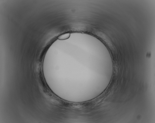 X0000094180583200711241555