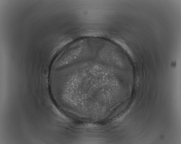 X0000094180585200711241555