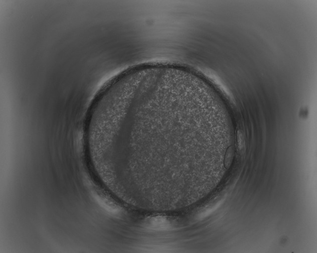 X0000094180588200711241555