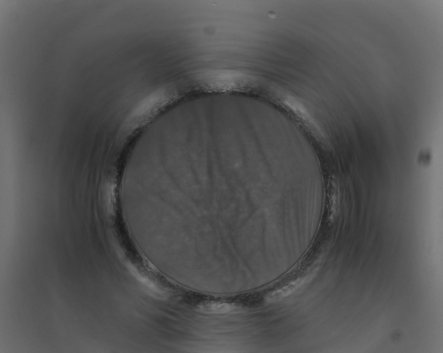 X0000094180590200711241555