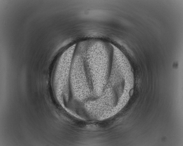 X0000094180591200711241555