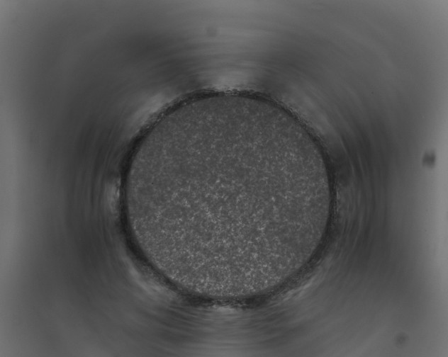 X0000094180592200711241555