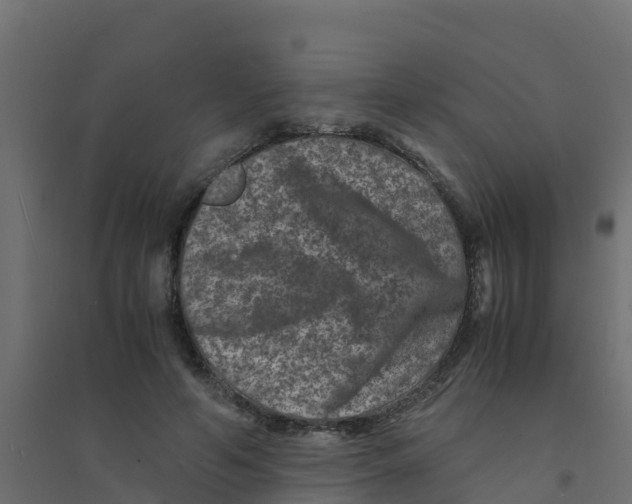 X0000094180594200711241555