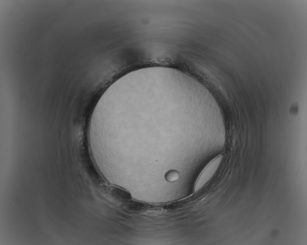 X0000094180595200711241555