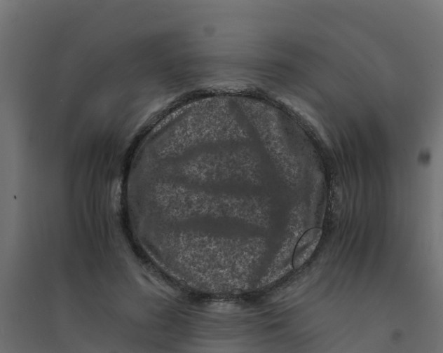 X0000094180596200711241555
