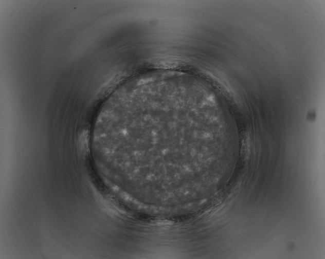 X0000094180598200711241555