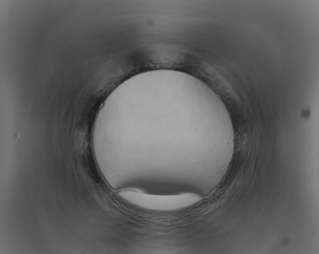 X0000094180599200711241555