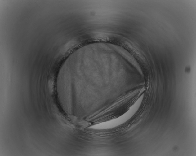 X0000094180600200711241555