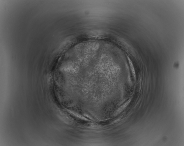X0000094180601200711241555