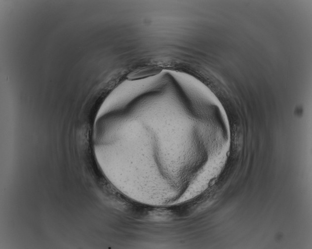X0000094180603200711241555