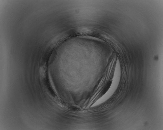 X0000094180604200711241555