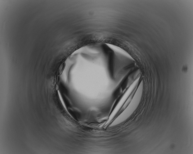 X0000094180605200711241555