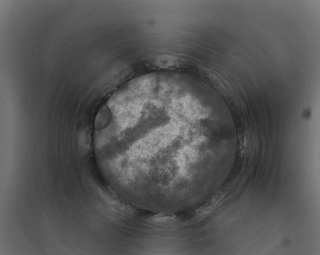 X0000094180606200711241555