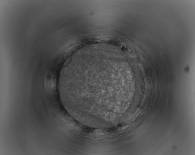 X0000094180608200711241554