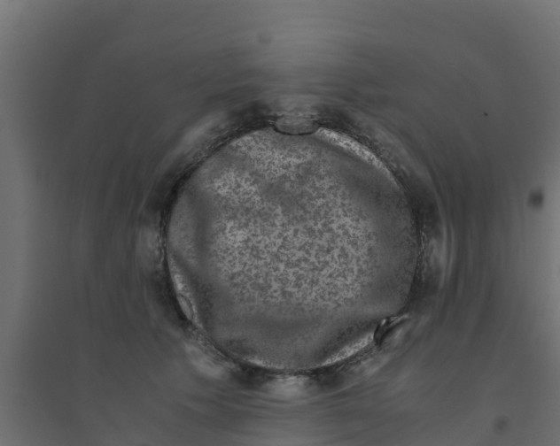 X0000094180609200711241554