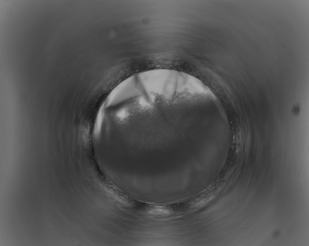 X0000094180610200711241554