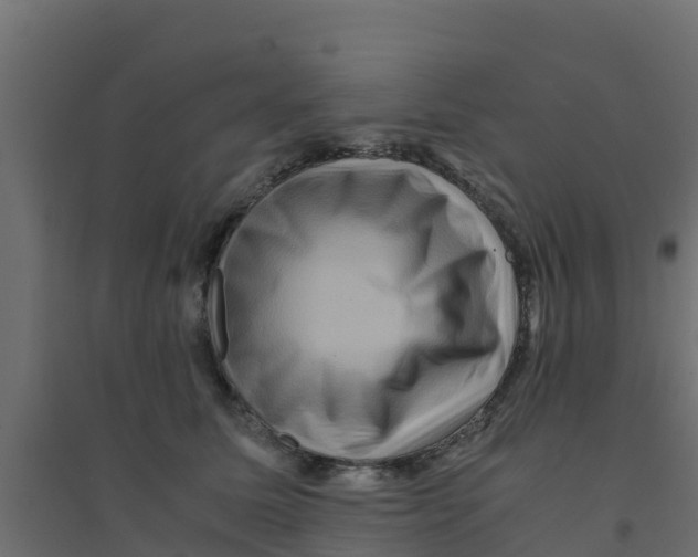 X0000094180611200711241554