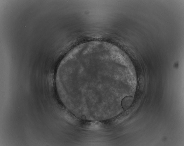 X0000094180612200711241554