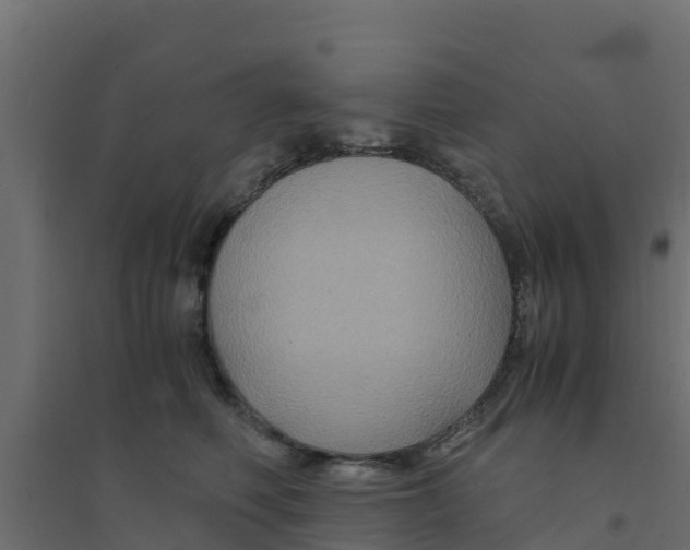 X0000094180614200711241554