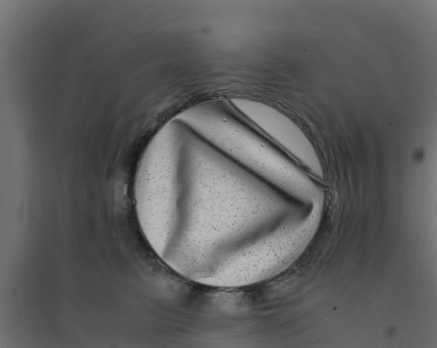 X0000094180615200711241554