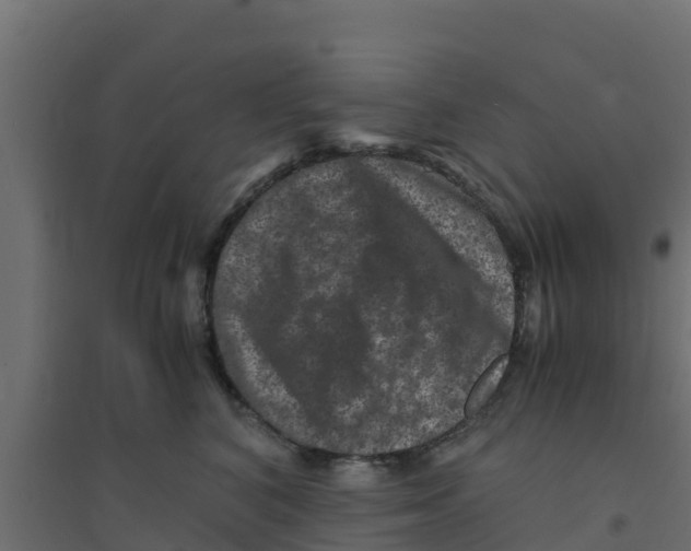 X0000094180616200711241554