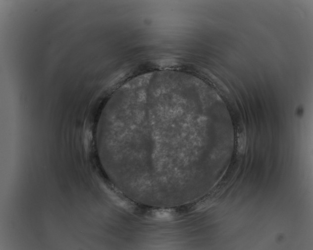 X0000094180618200711241554