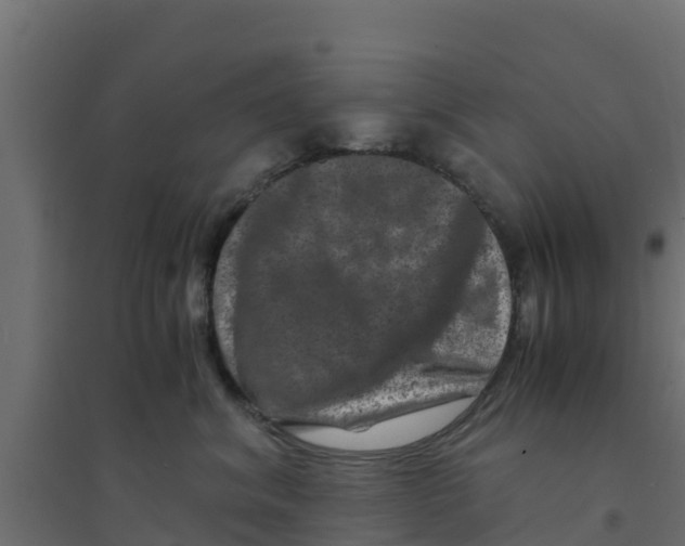 X0000094180620200711241554