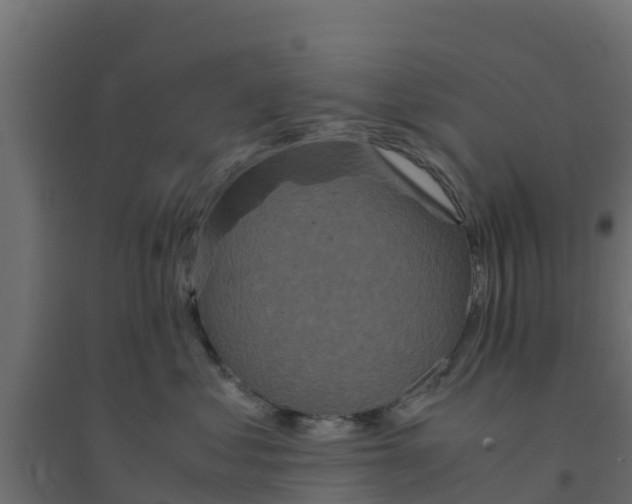 X0000094180621200711241554