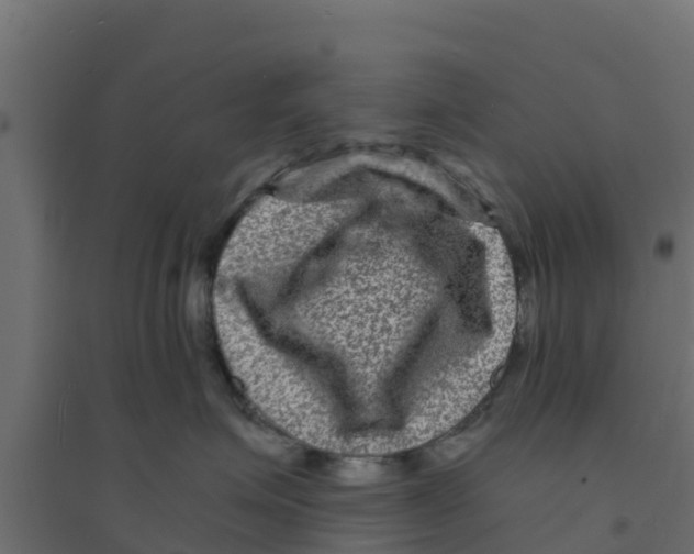 X0000094180623200711241554