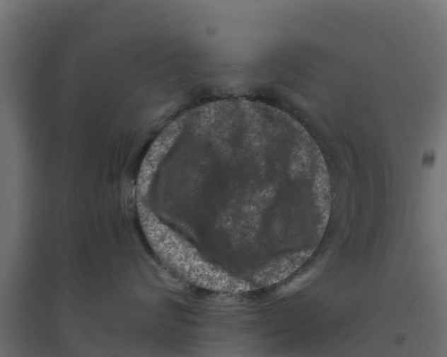 X0000094180624200711241554