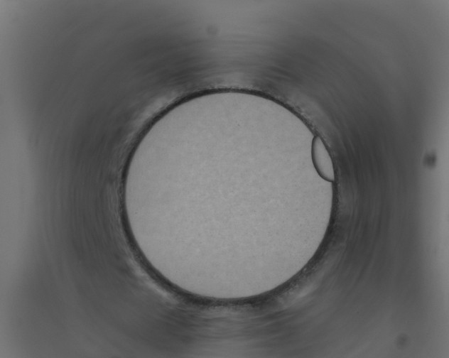 X0000094180625200711241554
