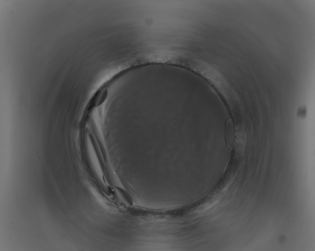 X0000094180626200711241554