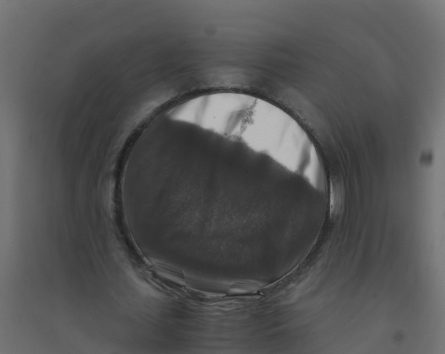X0000094180627200711241554