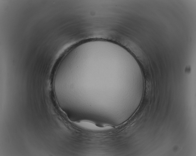 X0000094180628200711241554