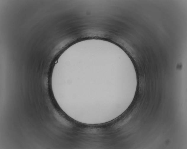X0000094180629200711241554