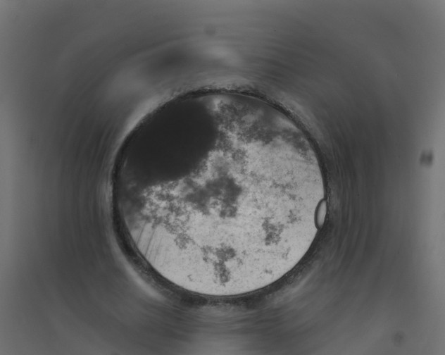 X0000094180630200711241554