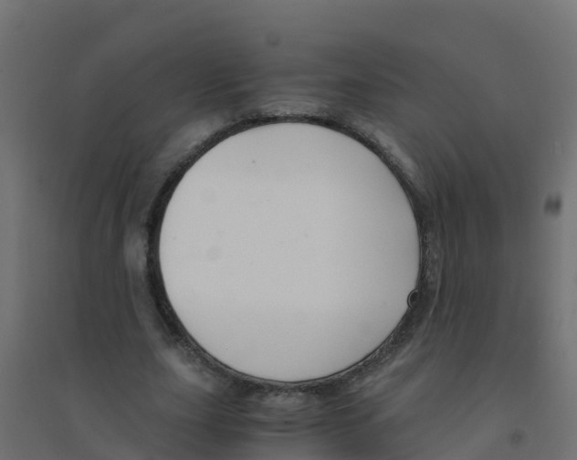 X0000094180631200711241554
