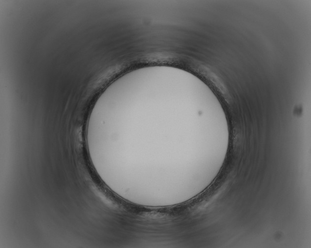 X0000094180633200711241554