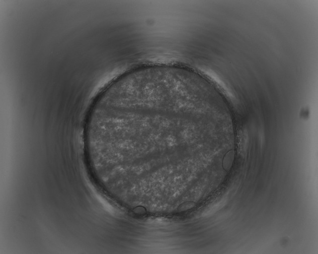 X0000094180634200711241554