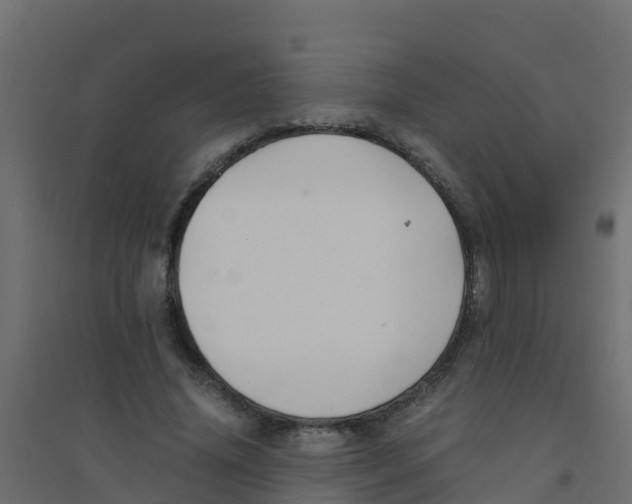 X0000094180636200711241554